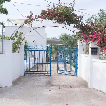 Tommasina Villa *